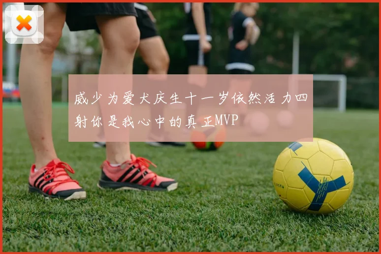 威少为爱犬庆生十一岁依然活力四射你是我心中的真正MVP