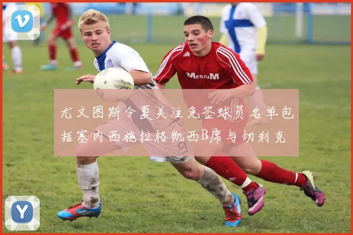 尤文图斯今夏关注免签球员名单包括塞内西施拉格凯西B席与切利克