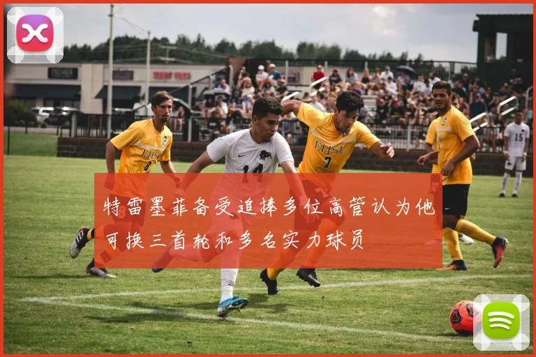 特雷墨菲备受追捧多位高管认为他可换三首轮和多名实力球员