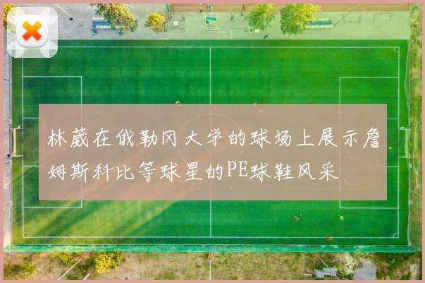 林葳在俄勒冈大学的球场上展示詹姆斯科比等球星的PE球鞋风采