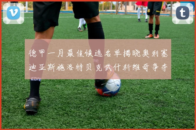 德甲一月最佳候选名单揭晓奥利塞迪亚斯施洛特贝克武什科维奇争夺荣耀